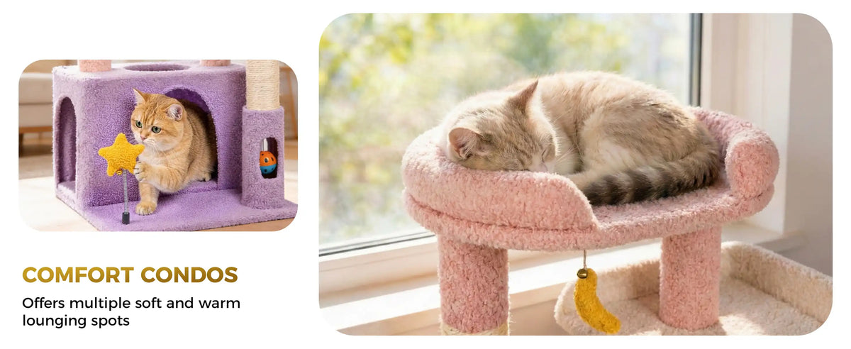 COMFORT CONDOS
Offers multiple soft and warm lounging spots