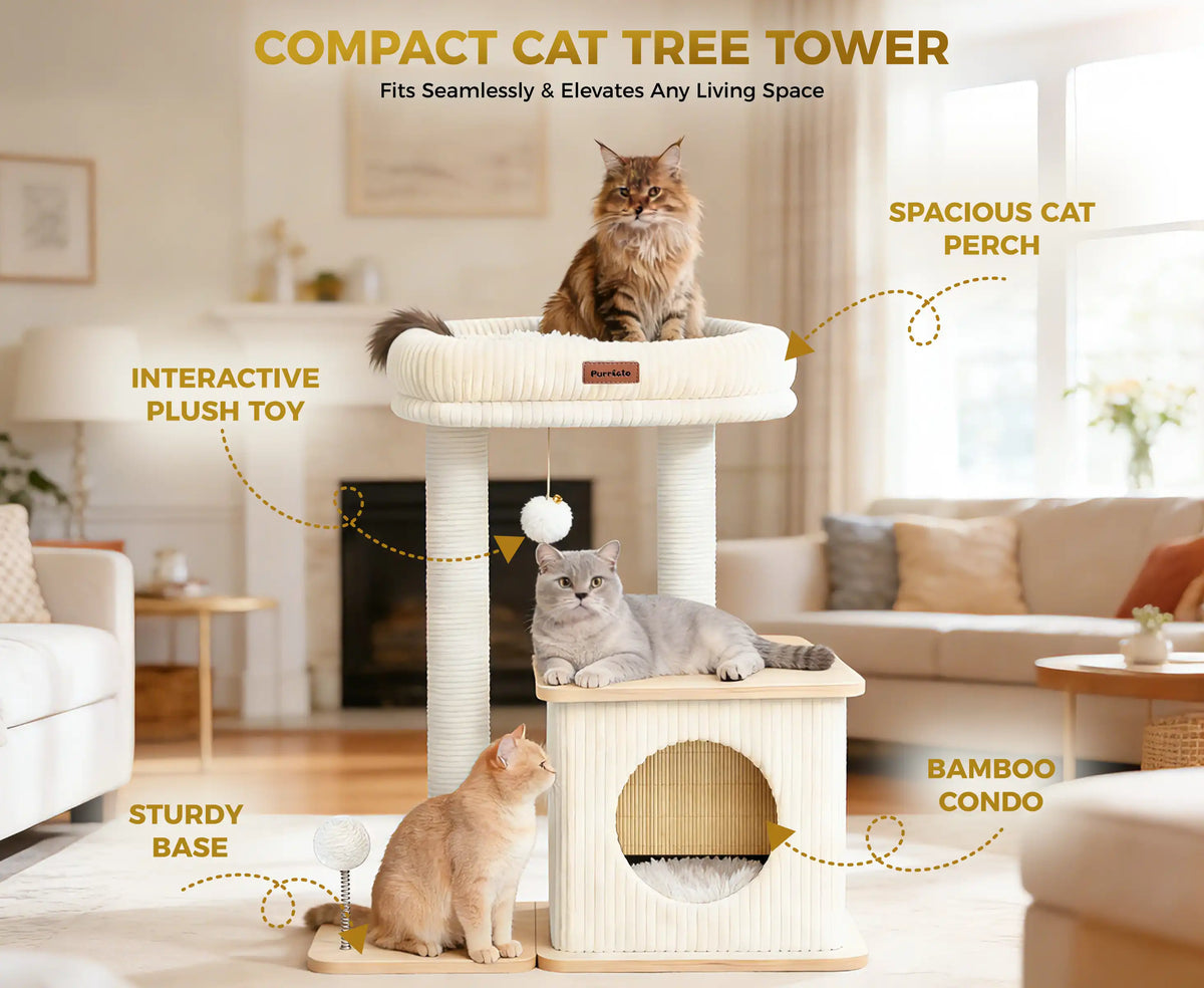 COMPACT CAT TREE TOWER
Fits Seamlessly & Elevates Any Living Space