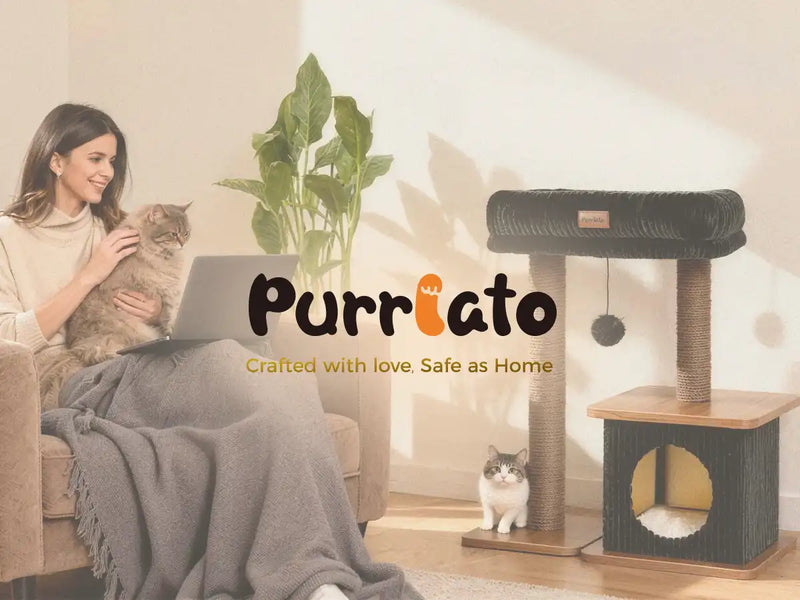 Crafted with love, Safe as Home