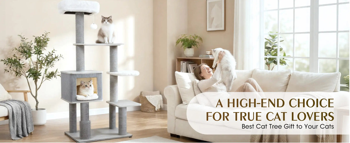 AHIGH-ENDCHOICE FOR TRUE CAT LOVERS
Best Cat Tree Gift to Your Cats
