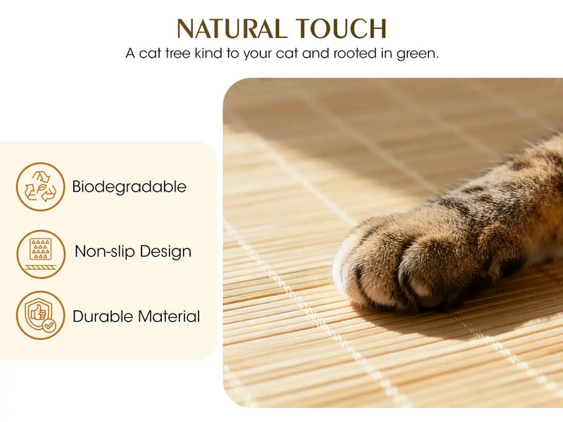 NATURALTOUCH
A cat tree kind to your cat and rooted in green.