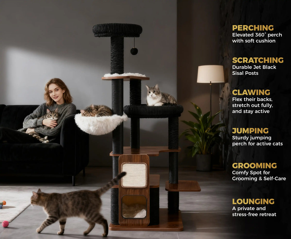 PERCHING
Elevated 360°perch
with soft cushion
SCRATCHING
Durable Jet Black
Sisal Posts
CLAWING
Flex their backs,
stretch out fully.
and stay active
JUMPING
Sturdy jumping
perch for active cats
GROOMING
Comfy Spot for
Grooming & Self-Care
LOUNGING
A private and
stress-free retreat