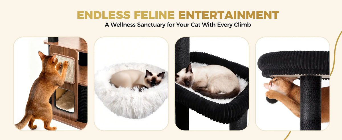 ENDLESS FELINE ENTERTAINMENT
A Wellness Sanctuary for Your Cat With Every Climb