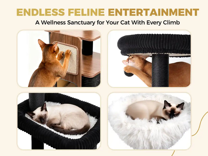 ENDLESS FELINE ENTERTAINMENT
A Wellness Sanctuary for Your Cat With Every Climb