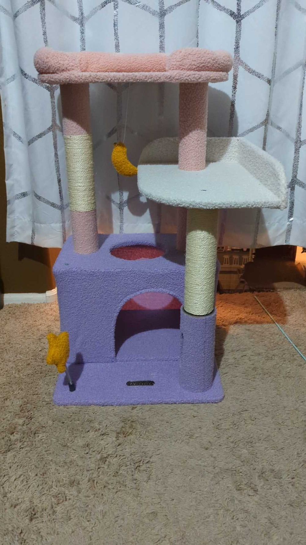 BooksAndCats