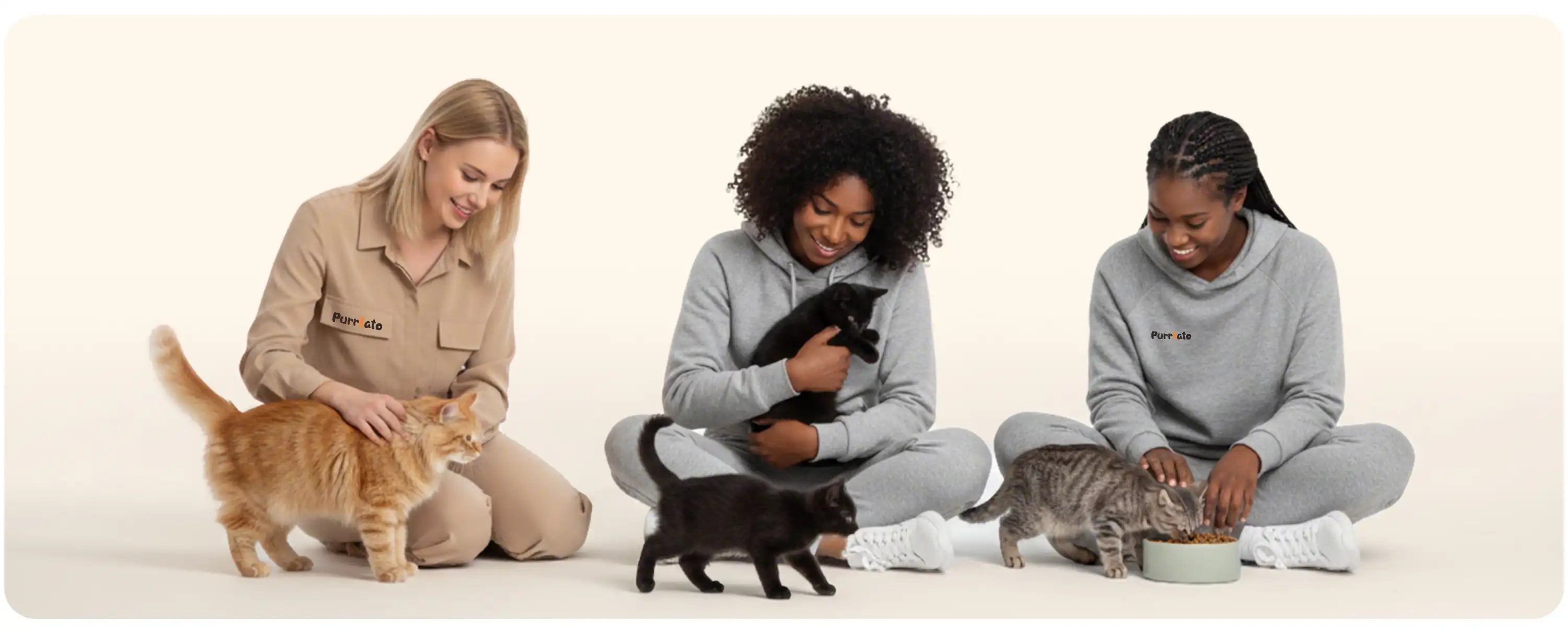 Purrlato Cat Tree About Us img