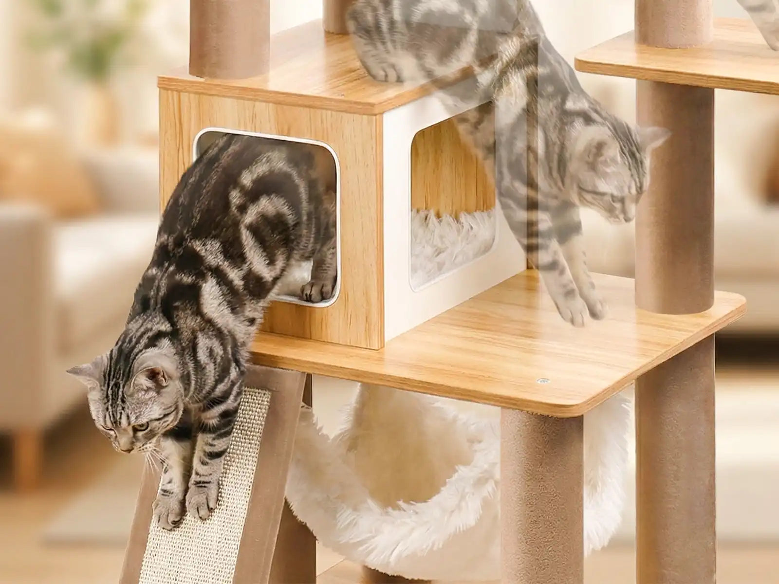 Purrlato Cat Tree Designed_for_Feline_Weight_Joints_and_Natural_Stretching