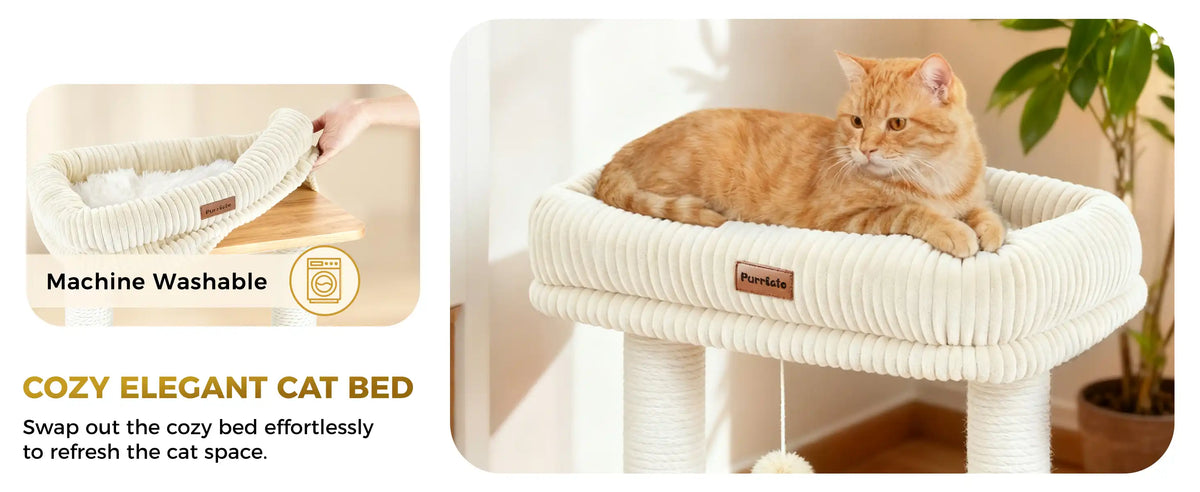 Machine Washable
COZY ELEGANT CAT BED
Swap out the cozy bed effortlessly
to refresh the cat space.