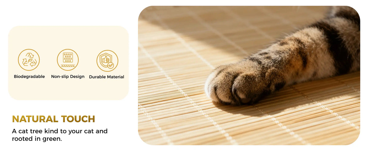 Biodegradable&Non-slip Design&Durable Material
NATURAL TOUCH
A cat tree kind to your cat and
rooted in green.