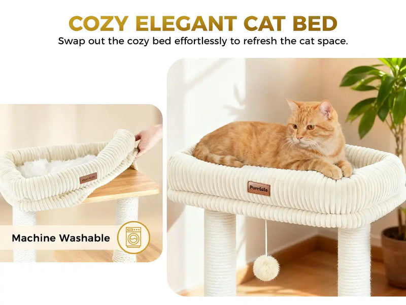 COZY ELEGANT CAT BED
Swap out the cozy bed effortlessly to refresh the cat space.