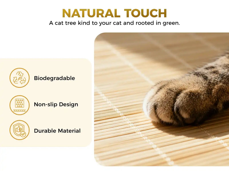 NATURALTOUCH
A cat tree kind to your cat and rooted in green.
Biodegradable
Non-slip Design
Durable Material