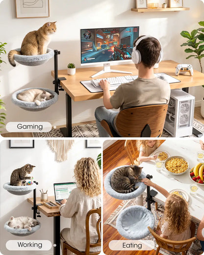 Cat Desk Bed