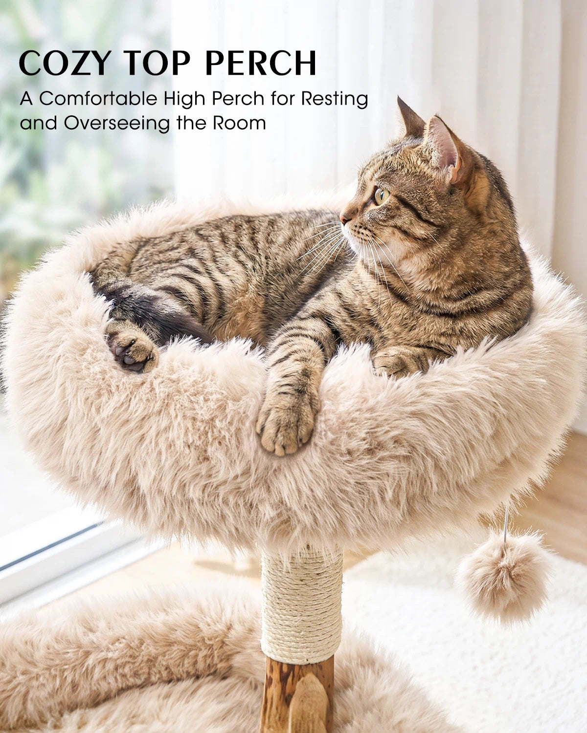 Purrlato Natural Wood Cat Tree Beige, COZYTOP PERCH, A Comfortable High Perch for Resting and Overseeingthe Room