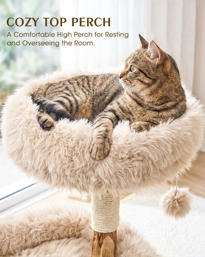 Purrlato Wood Branch Cat Tree Beige, COZYTOP PERCH, A Comfortable High Perch for Resting and Overseeing the Room.