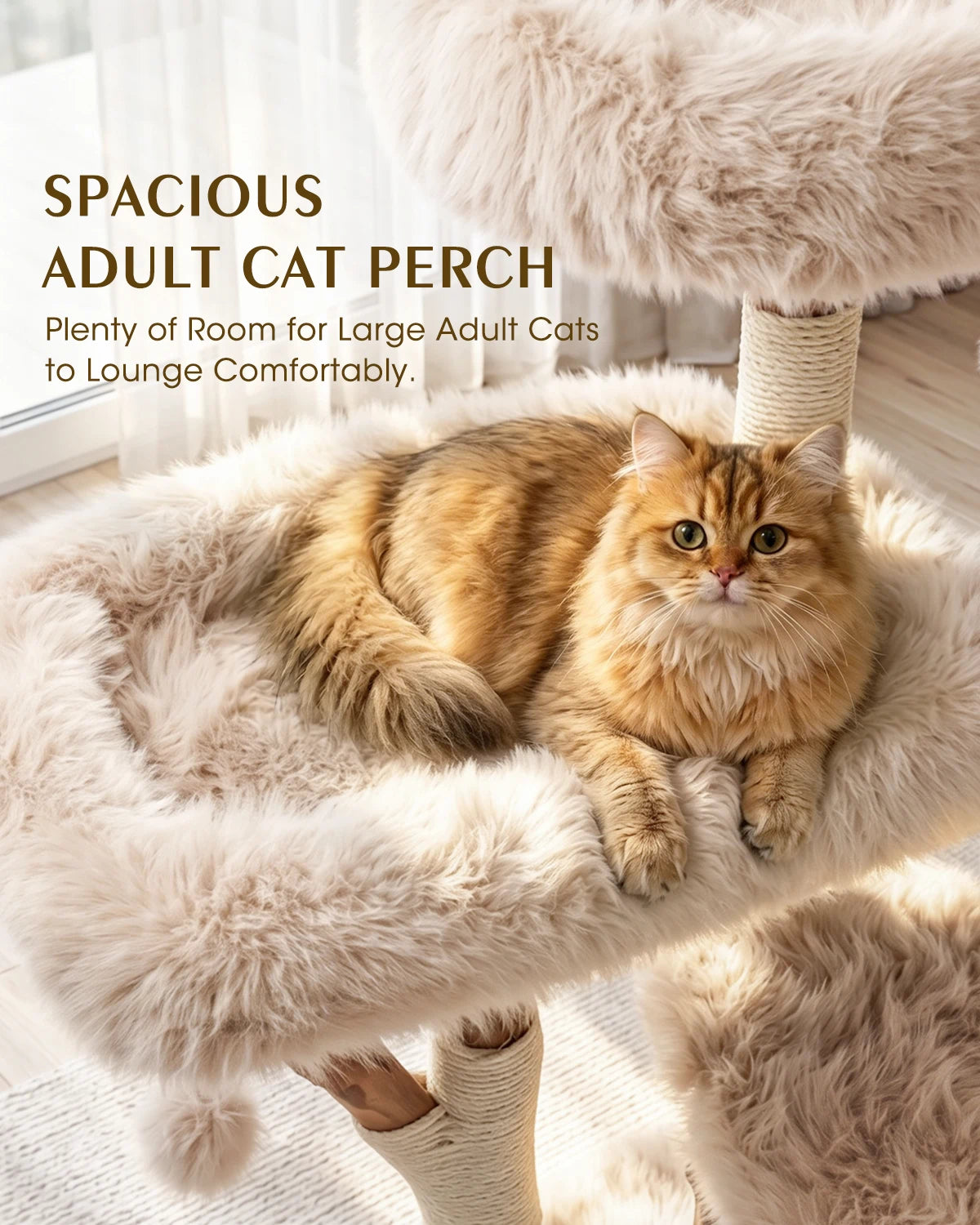 Purrlato Wood Branch Cat Tree Beige, SPACIOUS ADULTCATPERCH, Plenty of Room for Large Adult Cats to Lounge Comfortably.