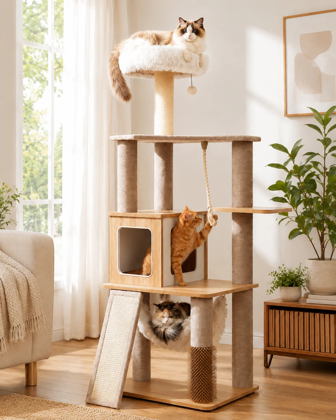 Purrlato Wooden Luxe 61-inch natural wood cat tree tower featuring a ragdoll cat on the white PV plush perch, an orange cat playing with the rope, and a tabby cat in the beige velvet hammock.
