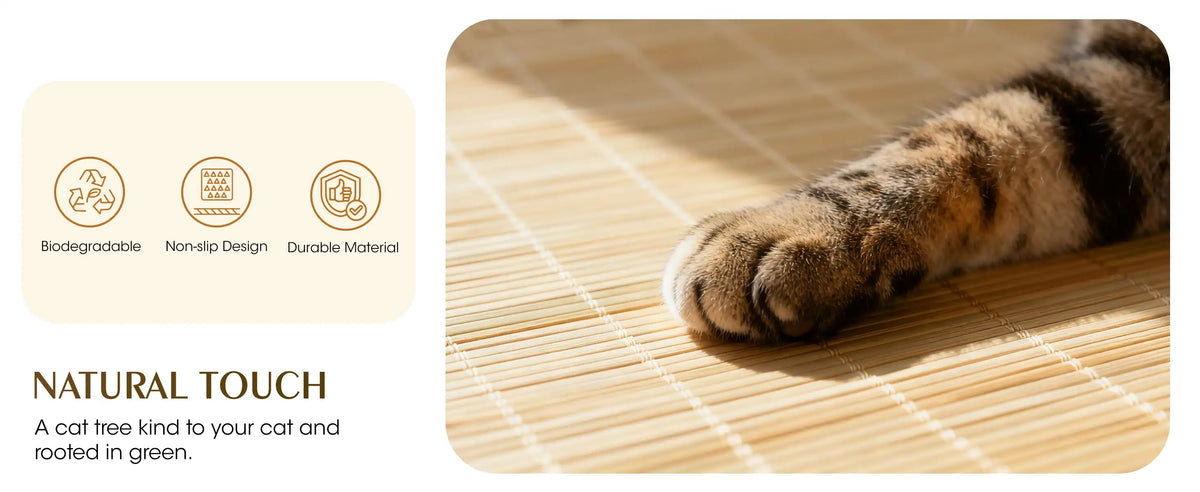 NATURALTOUCH
A cat tree kind to your cat and rooted in green.