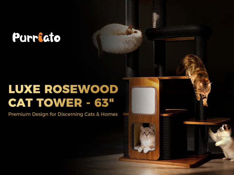 LUXE ROSEWOOD
CATTOWER-63"
Premium Design for Discerning Cats & Homes