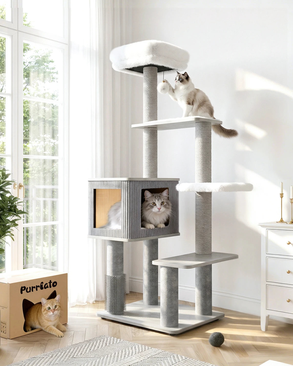 A 60-inch grey wood cat tree with five levels in a bright room, featuring two cats on the platforms and a ginger cat peeking out of a Purrlato box on the floor.
