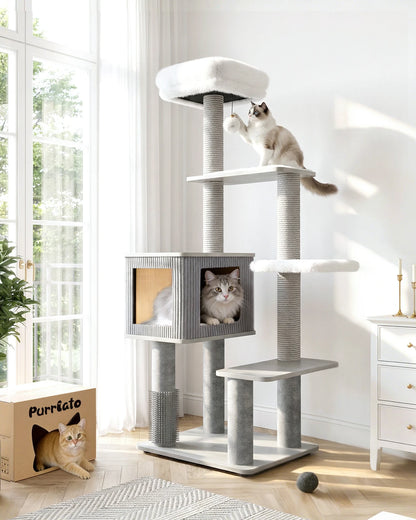 A 60-inch grey wood cat tree with five levels in a bright room, featuring two cats on the platforms and a ginger cat peeking out of a Purrlato box on the floor.
