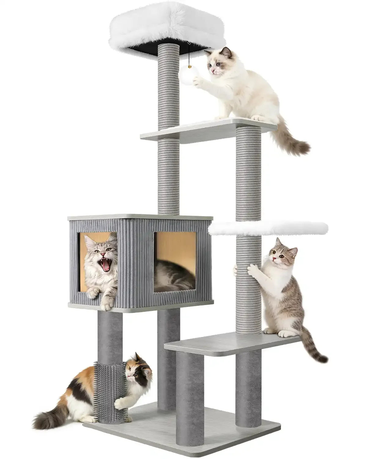 Purrlato 60-inch heavy-duty modern cat tree isolated on a white background, featuring four cats exploring the multi-level climbing platforms, condo, and grooming brush.