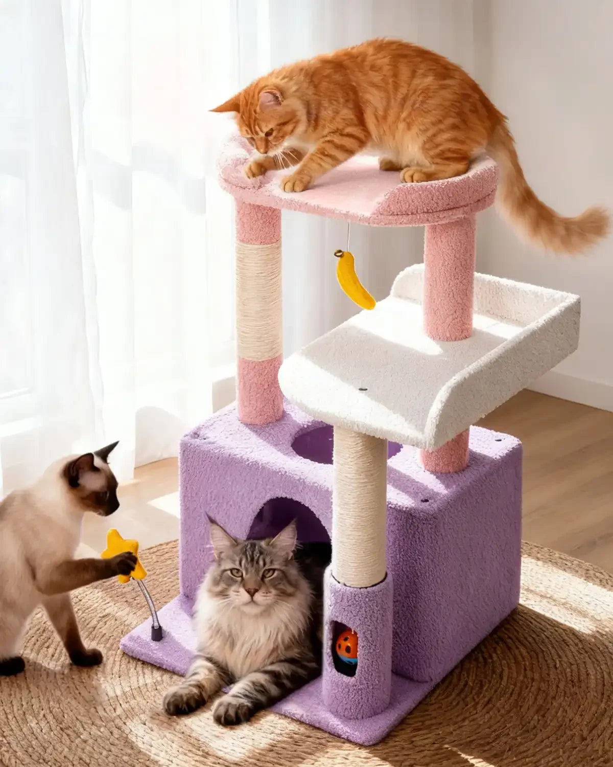 Three cats playing on the Purrlato violet candy loft multi-level cat tree tower in a sunny living room.