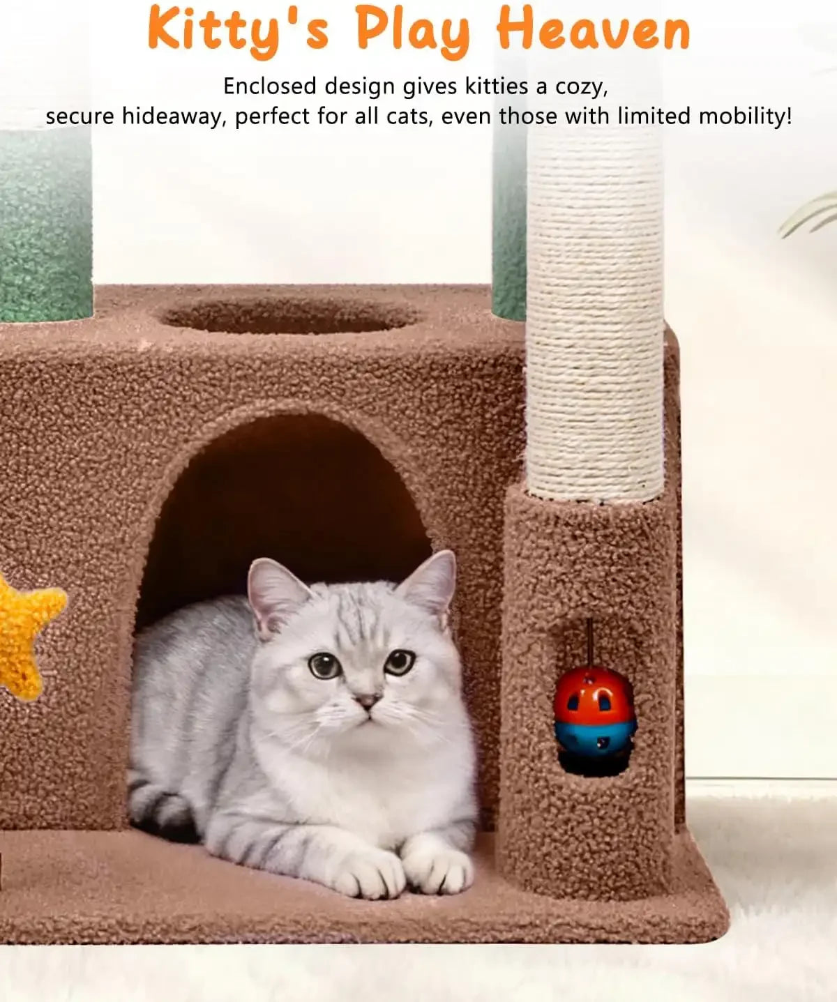 A silver British Shorthair cat lying inside the enclosed condo of Purrlato sturdy cat tree for cats with limited mobility.