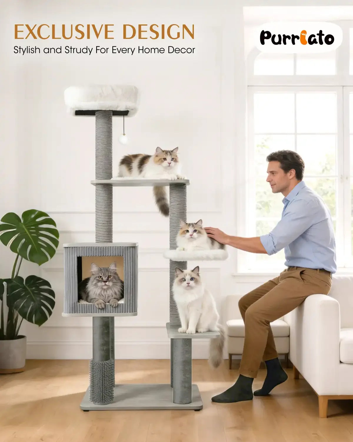 Exclusive design by Purrlato showing a stylish and sturdy modern cat tree in a living room, with a man interacting with four happy cats on the platforms.