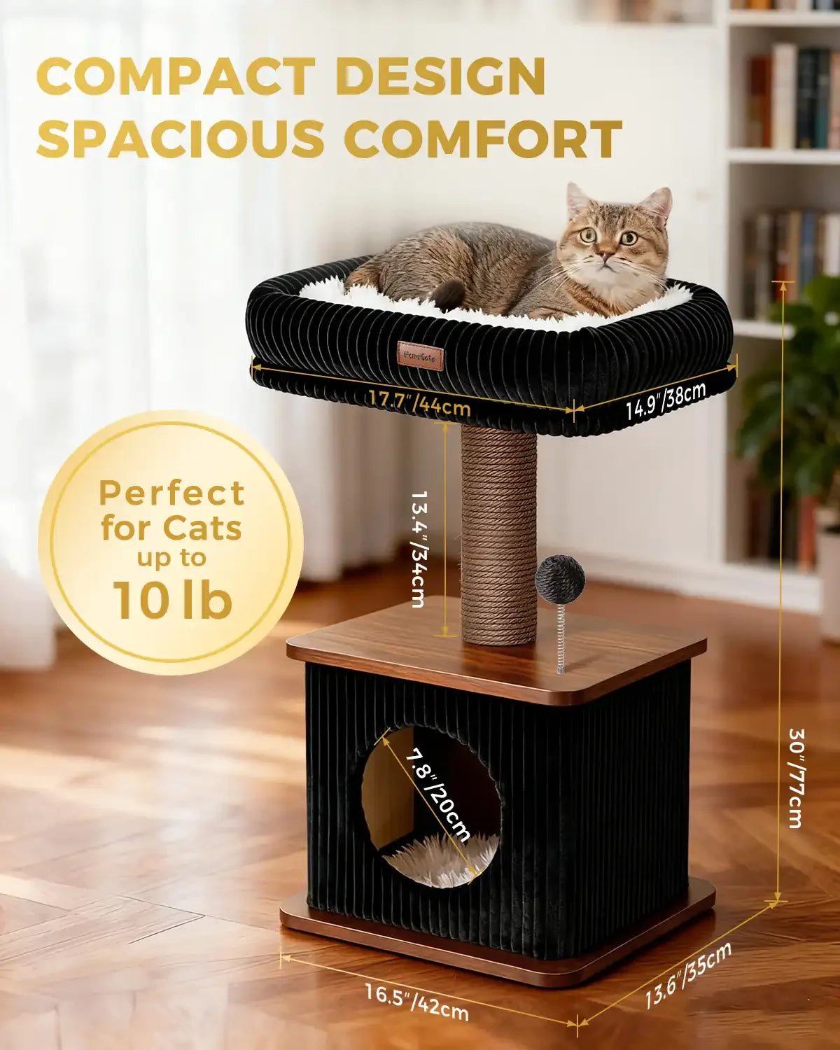 Product dimension chart for Purrlato Nordic Loft standard walnut cat tree showing a 30" (77cm) total height, 16.5"x13.6" base, 13.4" paper rope post, and a gold badge stating Perfect for Cats up to 10 lb with a tabby cat.