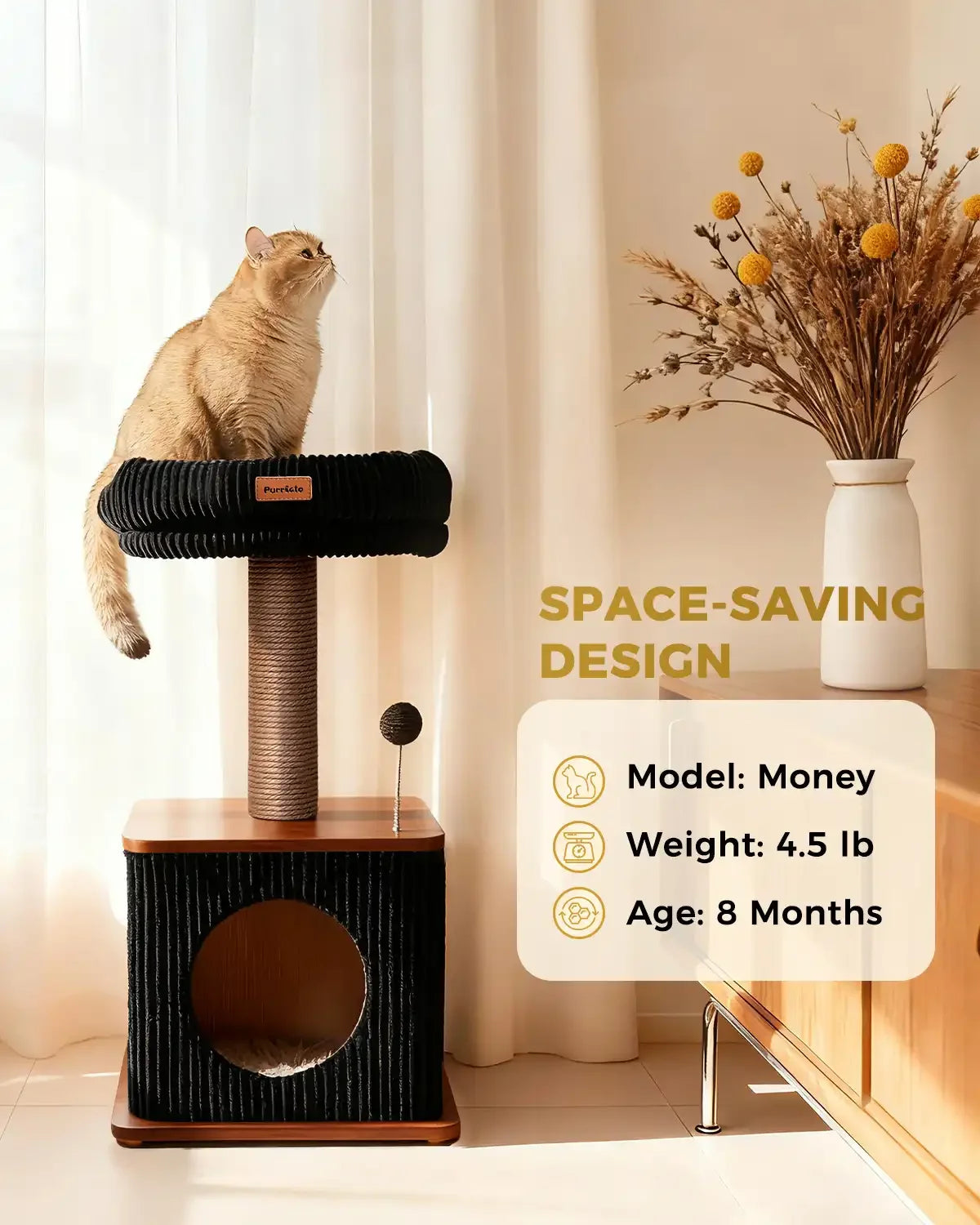 Space-saving design infographic for Purrlato Nordic Loft standard walnut cat tree, featuring an 8-month-old golden British Shorthair cat named Money weighing 4.5 lb on the perch next to a white flower vase.