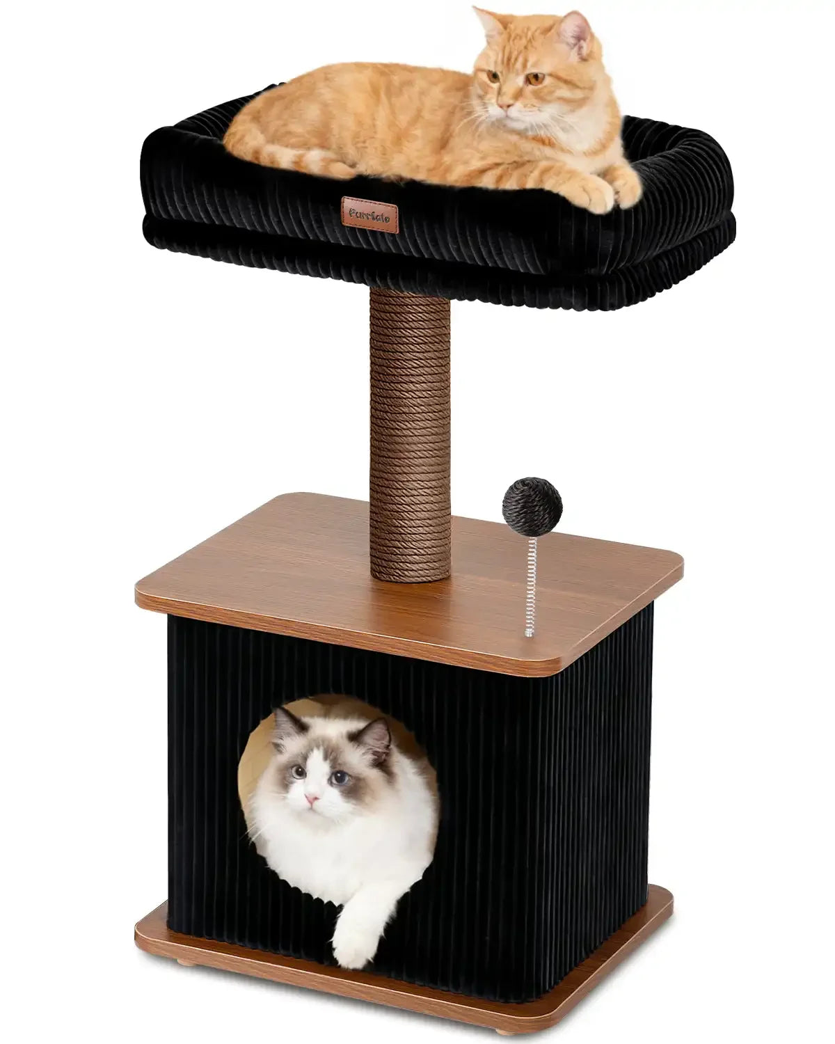 Purrlato Nordic Loft 30-inch standard walnut wooden cat tree with a central paper rope scratching post isolated on a white background, featuring an orange tabby cat on the top perch and a ragdoll cat inside the condo cave.