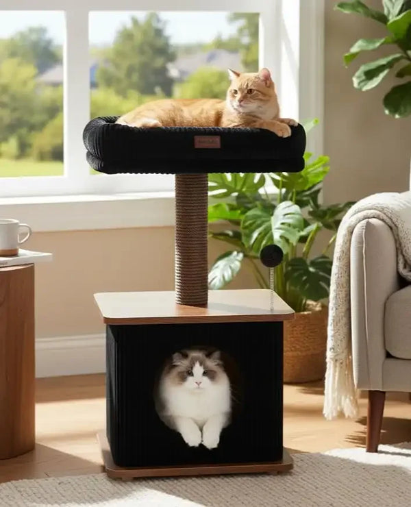 Purrlato Nordic Loft standard walnut wooden cat tree with a central paper rope scratching post, featuring an orange tabby cat on the top perch and a ragdoll cat inside the bamboo condo near a window.