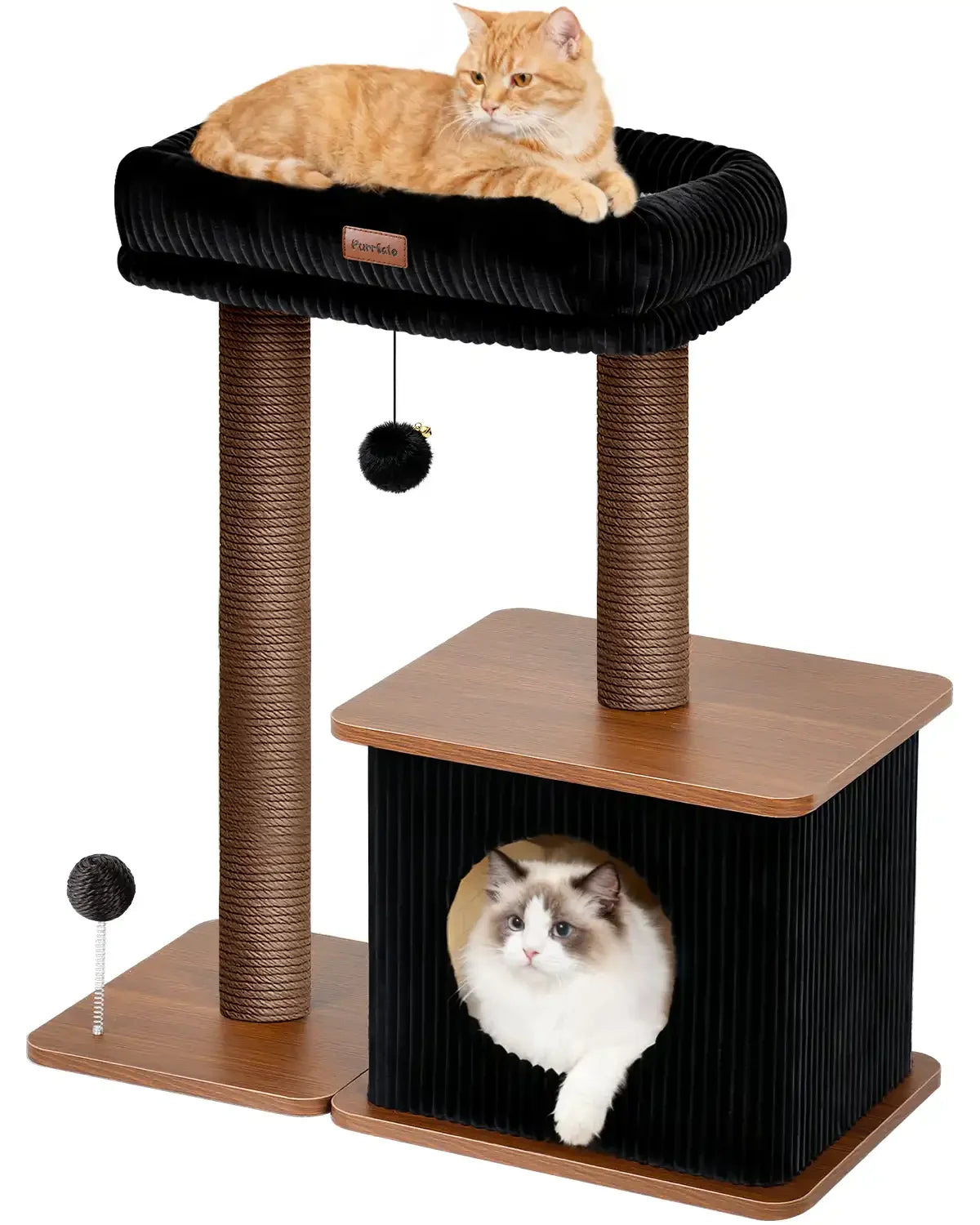 Purrlato Nordic Loft 35-inch large walnut cat tree tower isolated on a white background, featuring an orange tabby cat on the top perch and a ragdoll cat inside the condo cave.