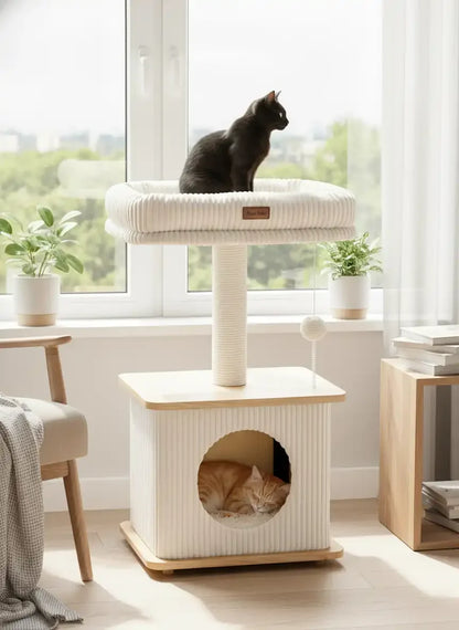 Purrlato Nordic Loft standard ash white wooden cat tree next to a bright window, featuring a single paper rope scratching post, a black cat sitting on the top corduroy perch, and an orange tabby cat sleeping inside the condo cave.