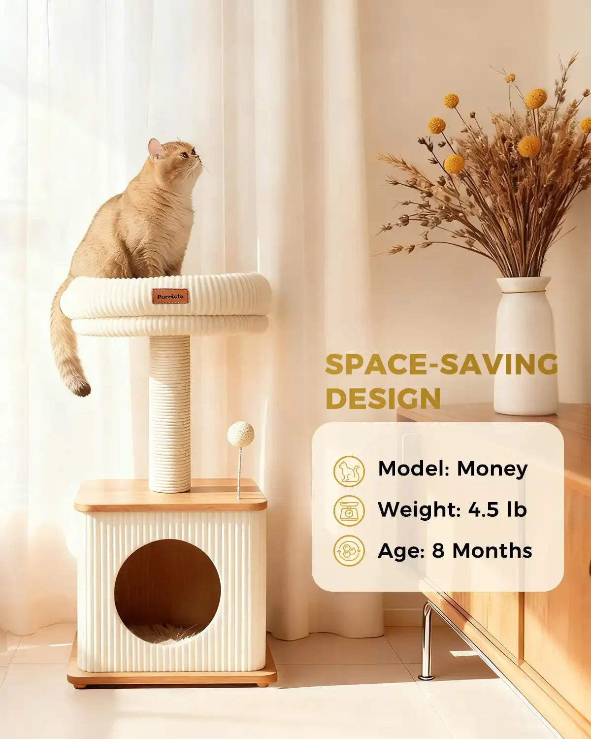 Space-saving design infographic for Purrlato Nordic Loft standard cat tree, featuring a 4.5 lb golden British Shorthair kitten named Money sitting on the plush perch next to a flower vase.