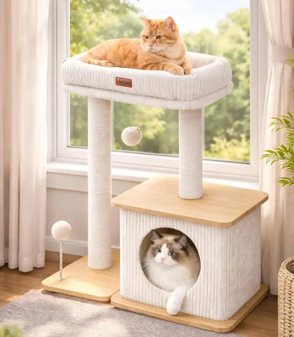 Purrlato Nordic Loft large ash white wooden cat tree next to a window, featuring a ginger tabby cat lounging on the top corduroy perch and a fluffy ragdoll cat resting inside the bamboo condo cave.