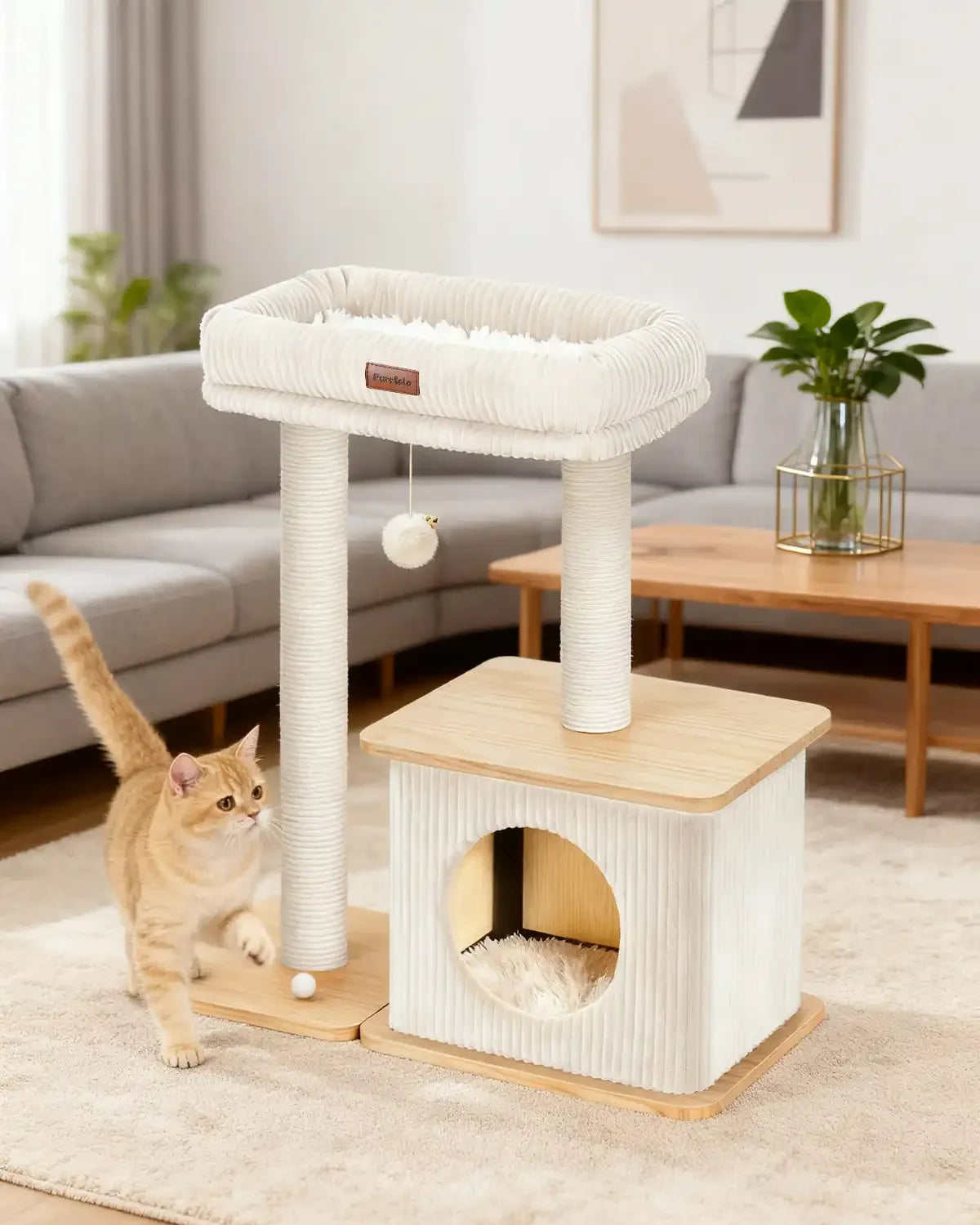 Purrlato Nordic Loft large ash white wooden cat tree placed in a modern living room next to a grey fabric sofa and wooden coffee table, with a golden British Shorthair cat walking in the foreground.