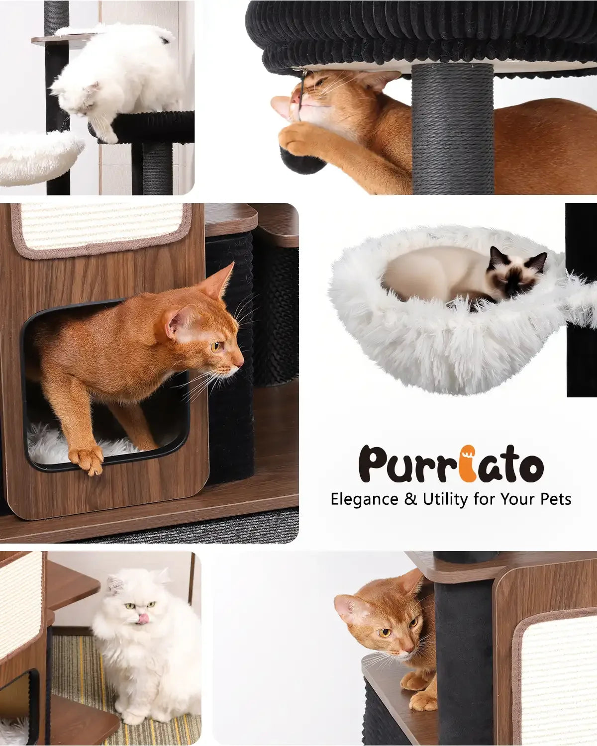 Multi-cat activities grid by Purrlato showing cats exploring different levels, sleeping in a white fluffy hammock, peeking from the condo, and playing with a hanging toy ball.