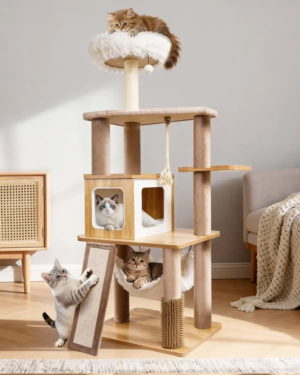 Purrlato Wooden Luxe 61-inch natural wood cat tree tower in a warm living room, featuring four cats: a fluffy cat on top, a ragdoll inside the wooden condo, a tabby in the velvet hammock, and a kitten scratching the ramp.