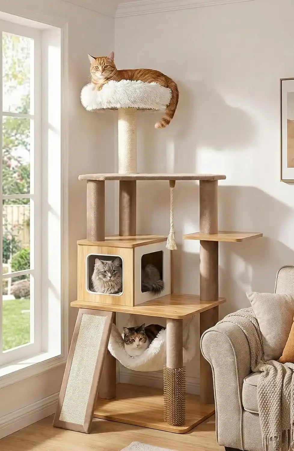 Purrlato Wooden Luxe 61-inch natural wood cat tree tower placed next to a grey sofa in a sunlit modern living room, featuring three cats resting on the plush white perch, condo, and hammock.
