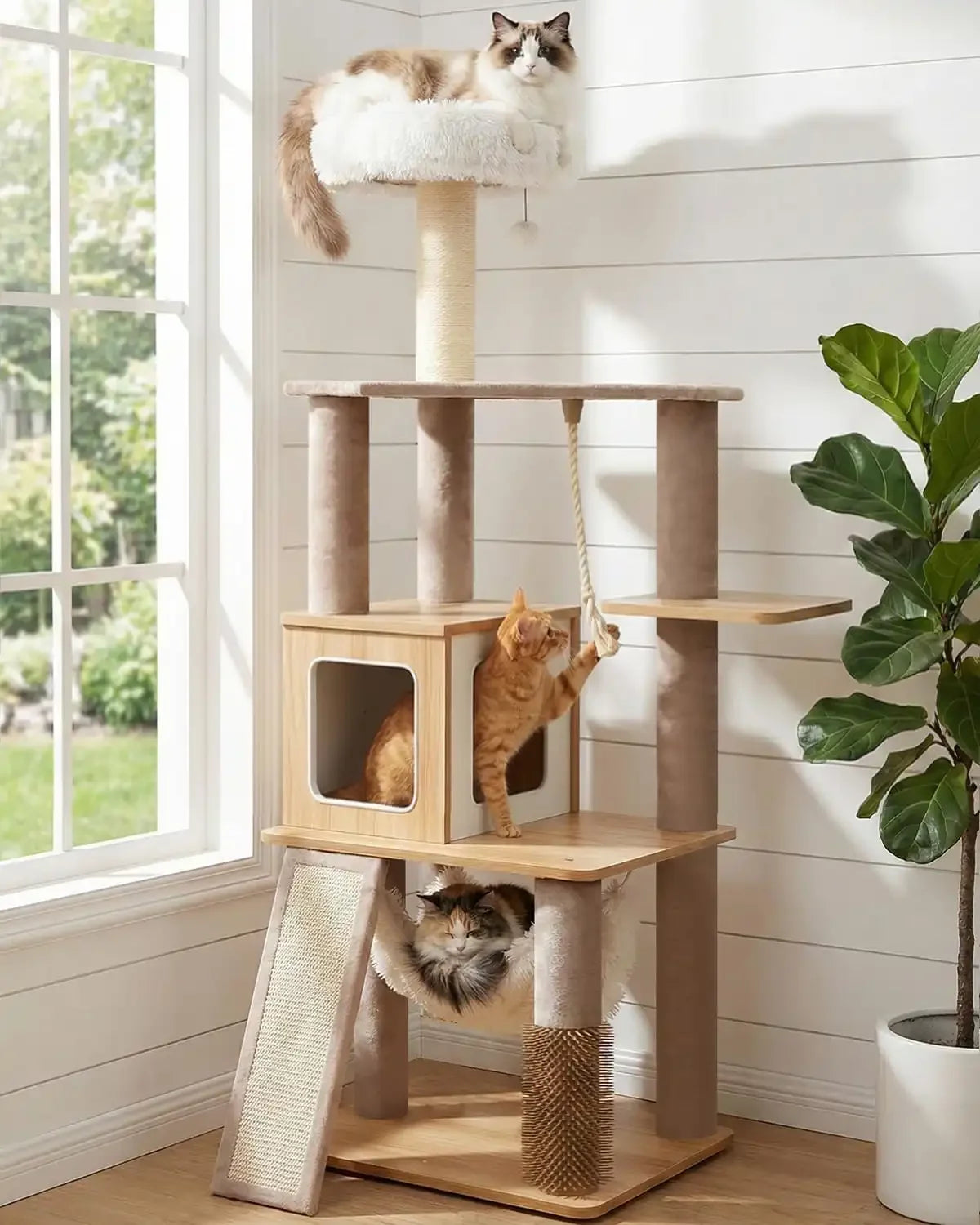 Purrlato Wooden Luxe 61-inch natural wood cat tree tower featuring a ragdoll cat on the white PV plush perch, an orange cat playing with the rope, and a tabby cat in the beige velvet hammock.