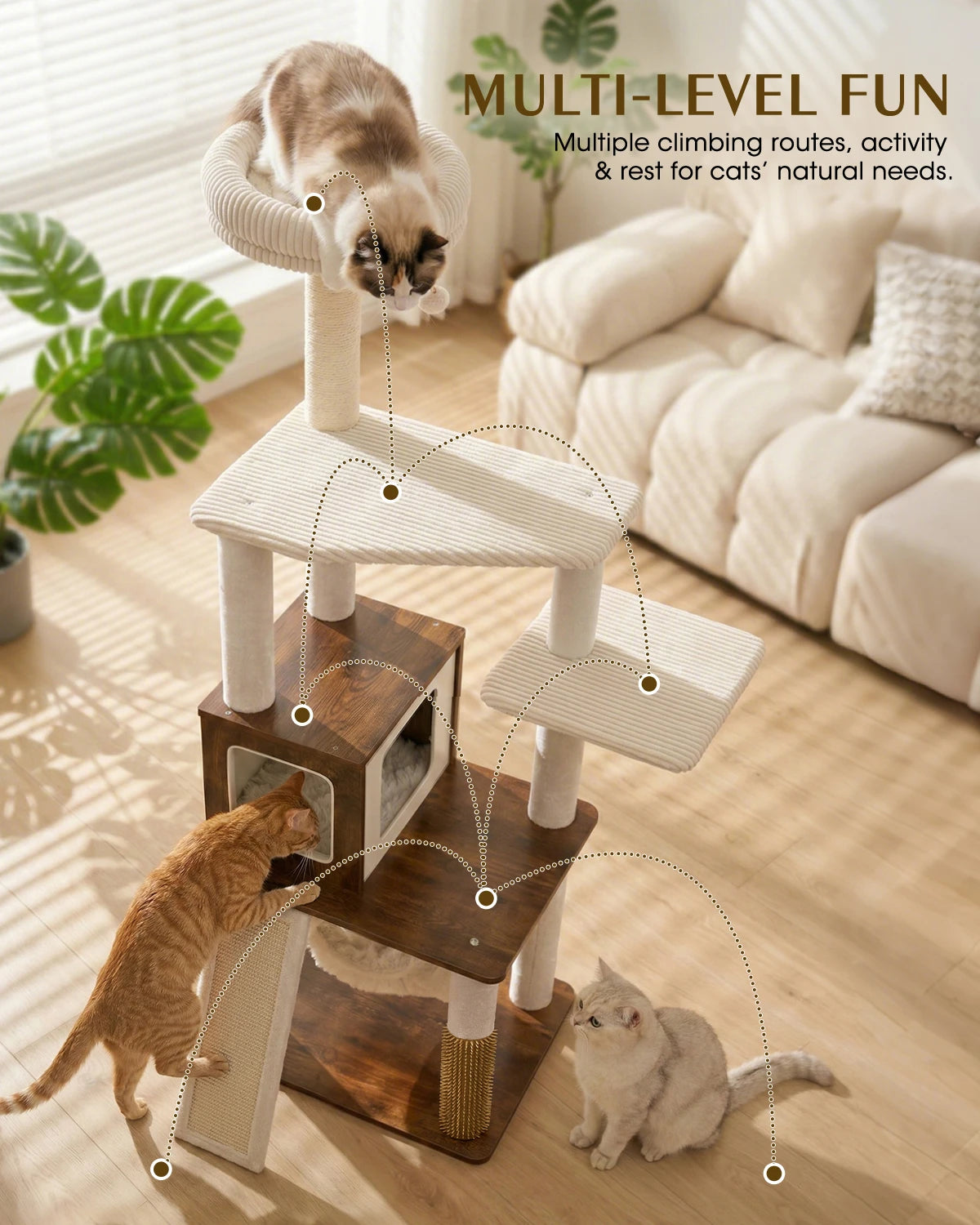 Multi-level fun diagram for Purrlato Wooden Luxe rustic brown cat tree, showing multiple climbing routes and activity paths for a calico cat on top, an orange cat, and a British Shorthair below.