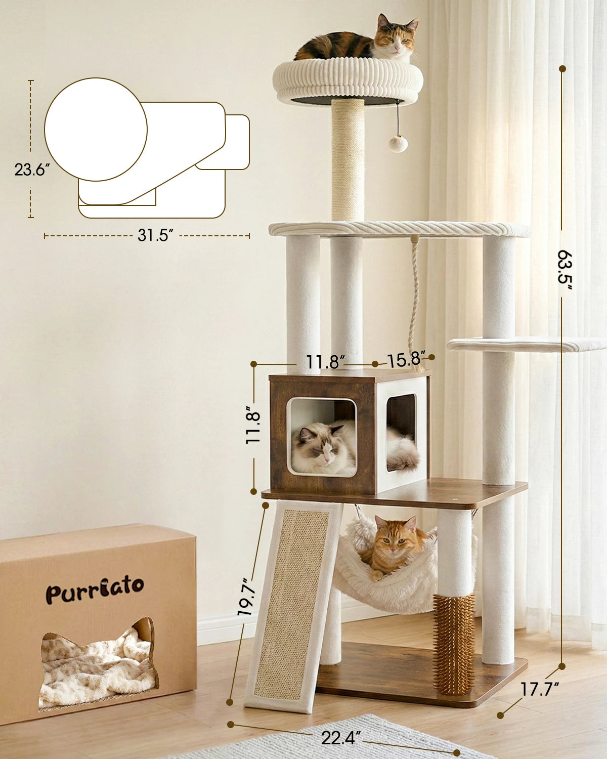 Product dimension chart for Purrlato Wooden Luxe rustic brown cat tree, showing 63.5" total height, 22.4" width, 17.7" depth, a calico cat on top, and a ragdoll inside the 11.8"x15.8" condo.