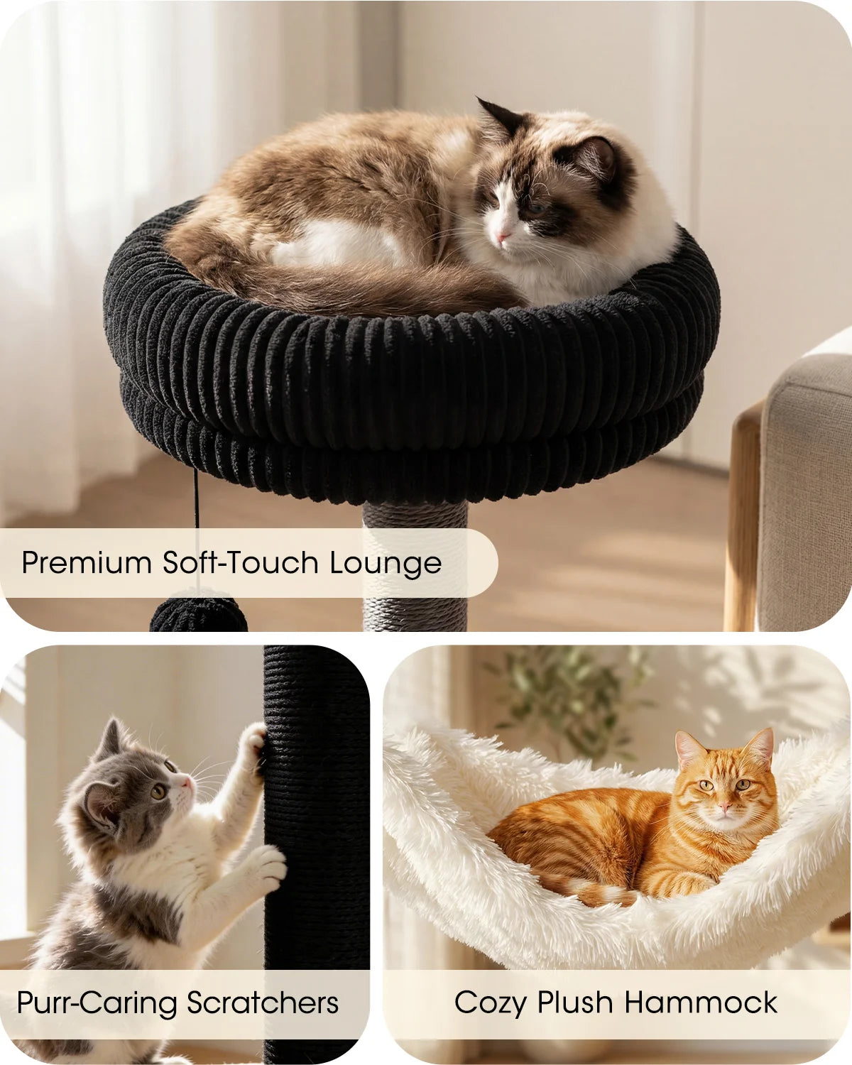 Premium details of Purrlato Wooden Luxe walnut cat tree showing a ragdoll cat in the soft-touch black lounge, a kitten using the black scratching post, and an orange tabby cat in the cozy plush hammock.