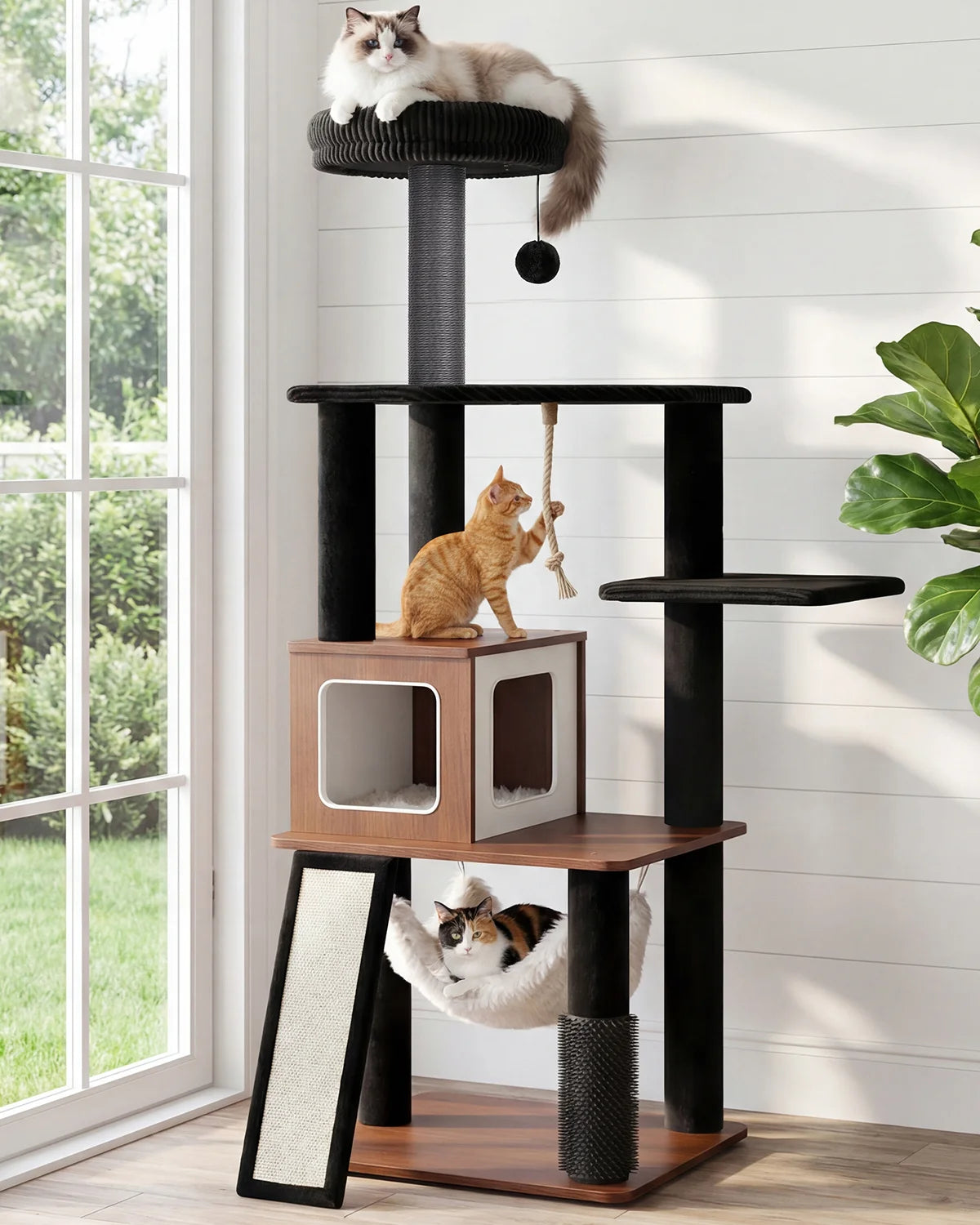Purrlato Wooden Luxe 61-inch walnut cat tree tower with a ragdoll cat on the top black plush perch, a ginger cat playing with rope, and a calico cat in the white plush hammock.