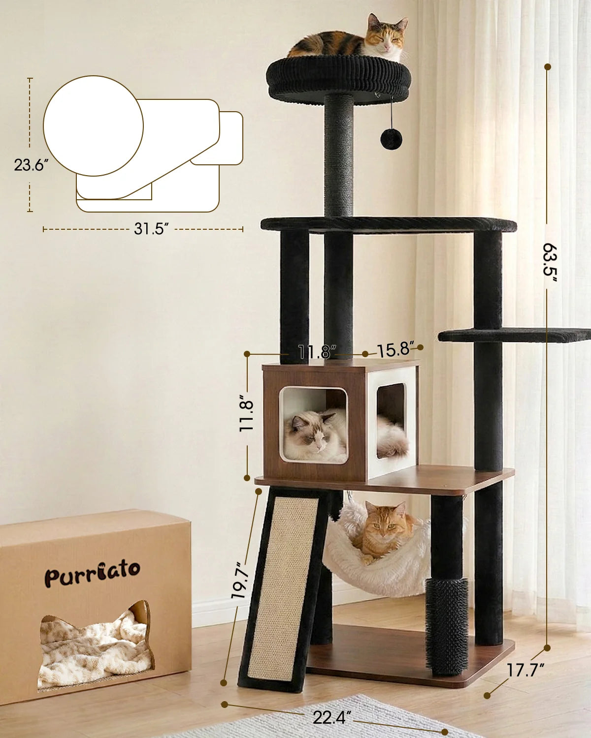 Product dimension chart for Purrlato Wooden Luxe walnut cat tree, showing 63.5-inch total height, 22.4" width, 17.7" depth, a calico cat on top, and a ragdoll inside the 11.8"x15.8" condo.