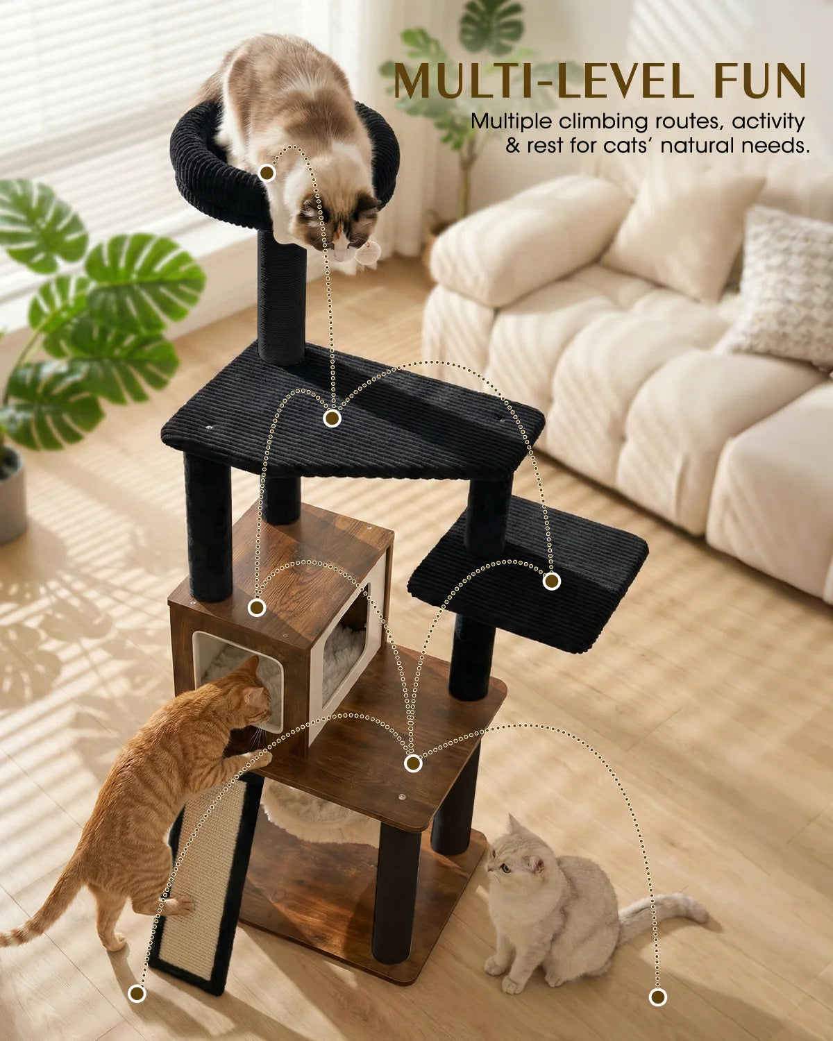 Multi-level fun infographic for Purrlato Wooden Luxe walnut cat tree, showcasing multiple climbing routes for a calico cat on top, a ginger cat exploring, and a British Shorthair below.